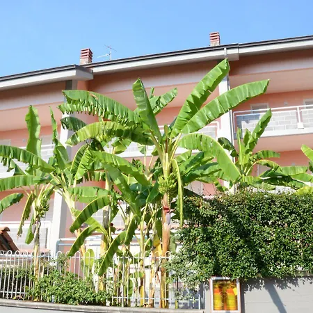 Belvedere 4*